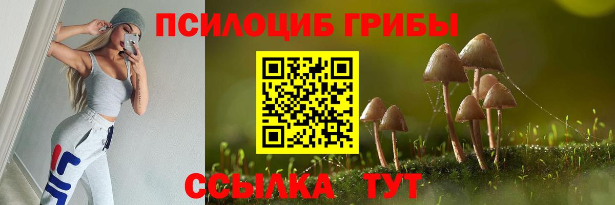 Псилоцибиновые грибы мухоморы  Псилоцибиновые грибы ЛСД  где можно купить   Вход с VPN  Серов 